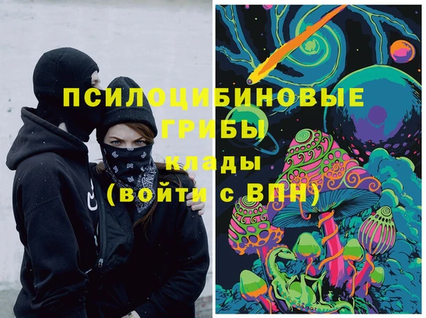 Альфа ПВП Богородицк