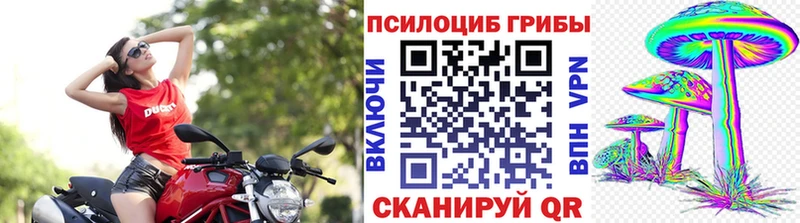 Галлюциногенные грибы мицелий  Ишим 