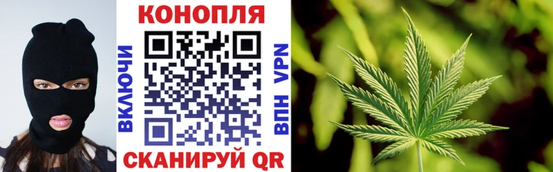 где найти наркотики  Ишим  кракен ССЫЛКА  Бошки Шишки конопля 